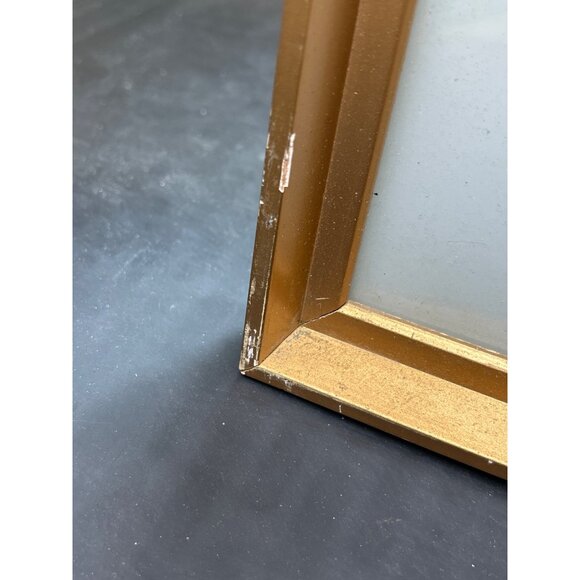 Framed Butterfly Display With Gold Frame & Natural Dried Stalks - Picture 10 of 16